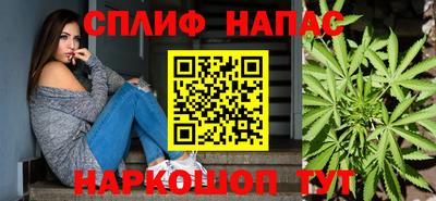 стаф Камышлов