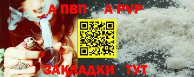 стаф Камышлов
