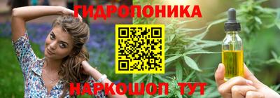 стаф Камышлов