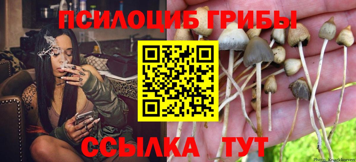 Ликино-Дулёво  Псилоцибиновые грибы мухоморы  Вход с VPN 